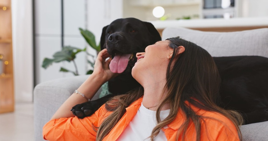 Animal-Inclusive Drug Rehabs: Exploring Pros, Cons, and Recovery Focus