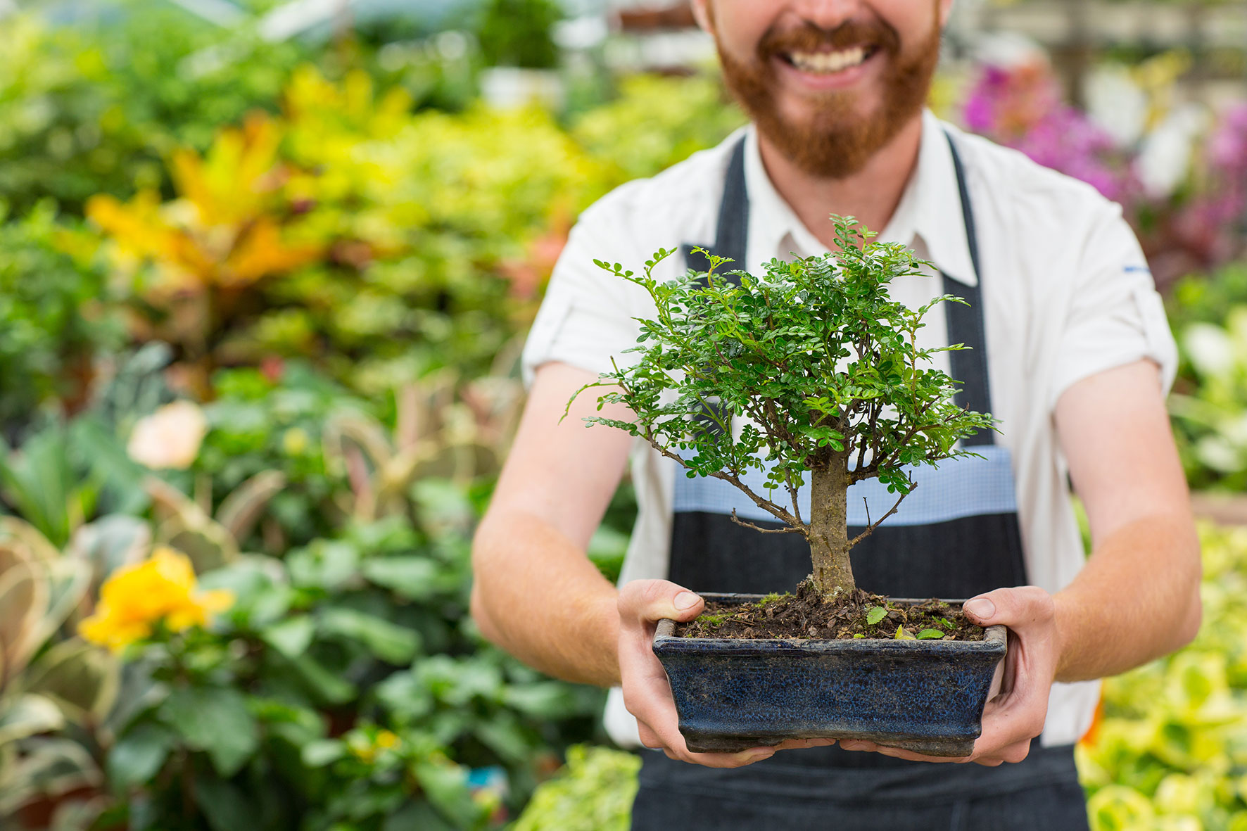 Horticultural Therapy at Inpatient Rehab | Wish Recovery